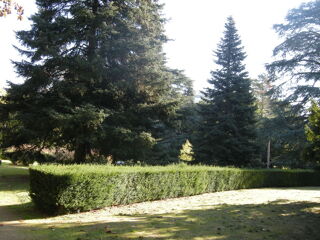  Appartement � vendre 4 pi�ces 97 m�