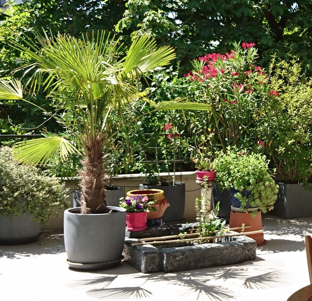 Bassin en polyester avec pompe pour fleur aquatique Jardin