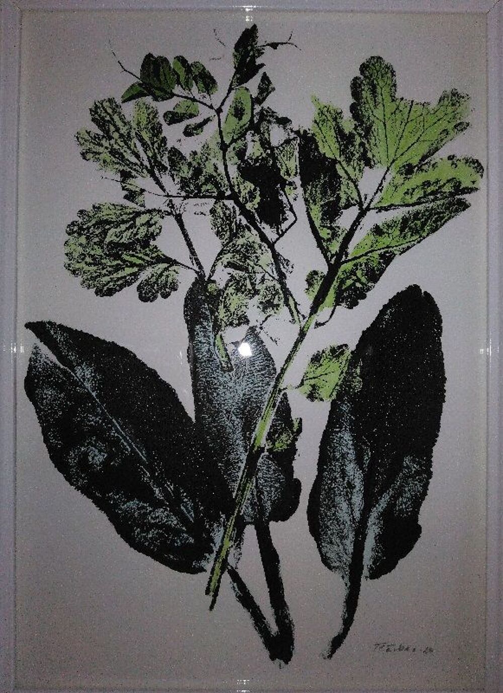 petites peintures vegetales Décoration