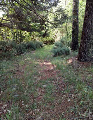  Terrain � vendre 7300 m� Nivillac