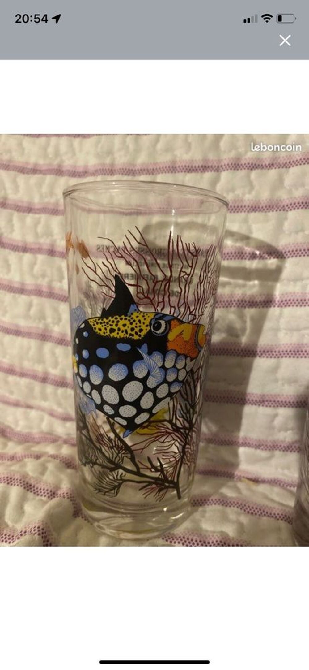 collection de verre (papillon, poissons) 
