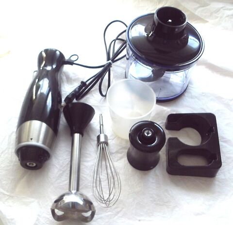 Ensemble mixeur plongeant BL 5040 quasi neuf 28 Villeurbanne (69)