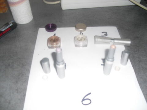 fard a paupi�re et l�vre poudre diff�rentes marques couleurs 5 Lyon 5 (69)