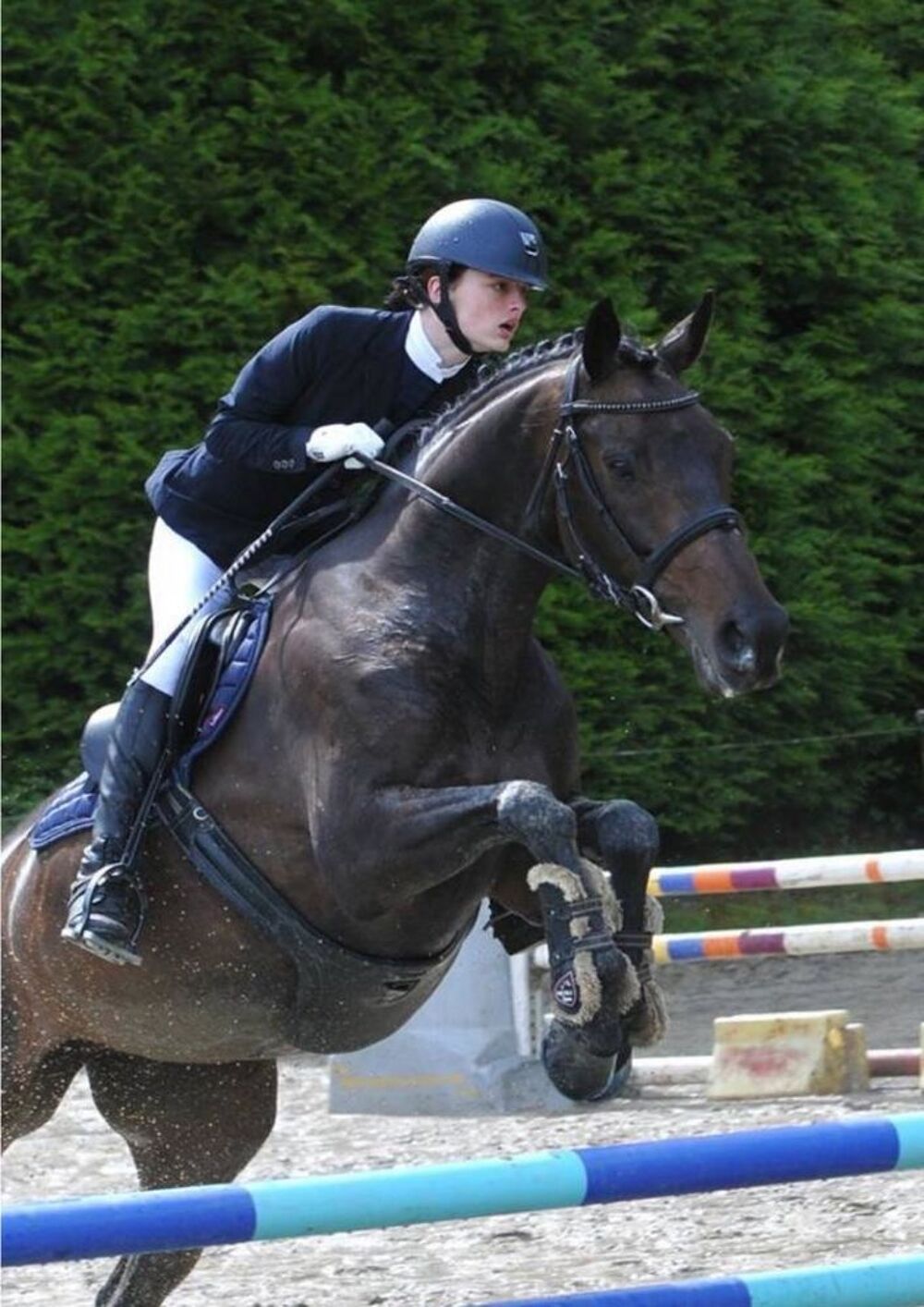 SELLE SAUT PRESTIGE ROMA JUMP 17 POUCES PLUS &Eacute;TRIVI&Egrave;RES TBE Sports