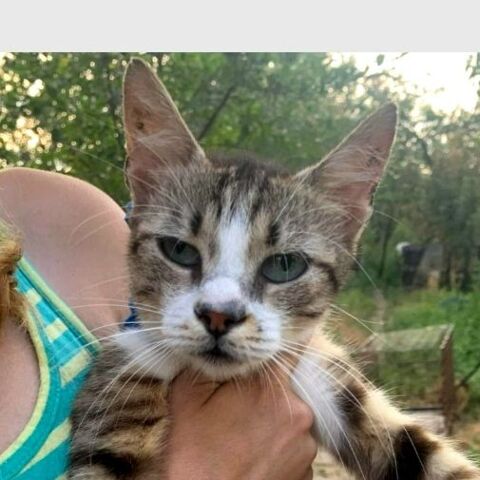 ELOIS 220 95610 ragny