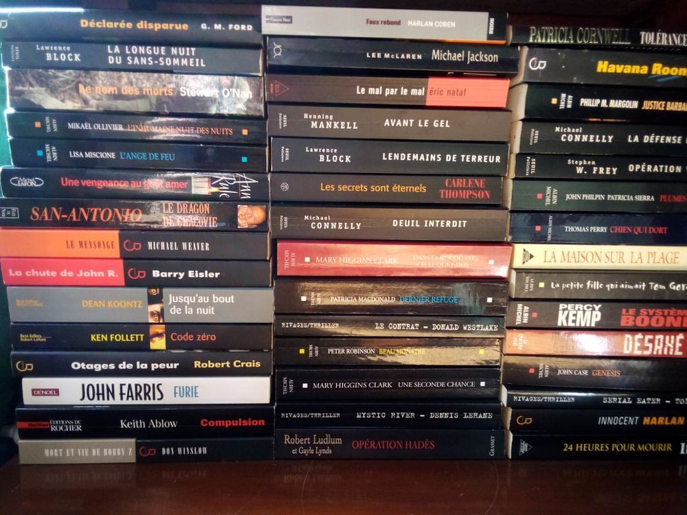 LOT DE 160 LIVRES THRILLERS, ROMANS NOIRS, GRAND FORMAT Livres et BD