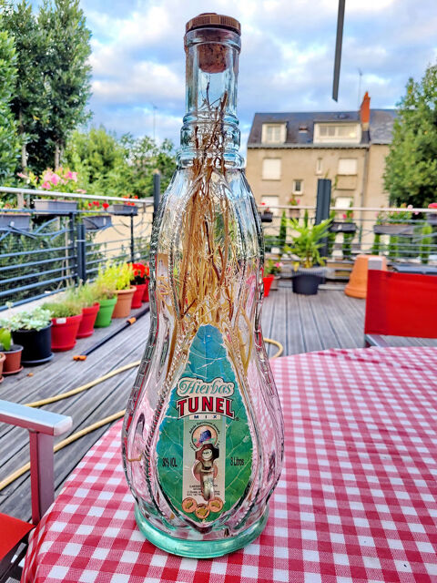 Bouteille de Hierbas TUNEL Mix vide 3L 55 Tours (37)