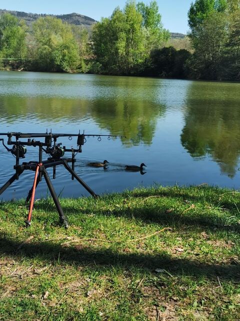 3 cannes et moulinet carpe 10lbs 200 Chauriat (63)