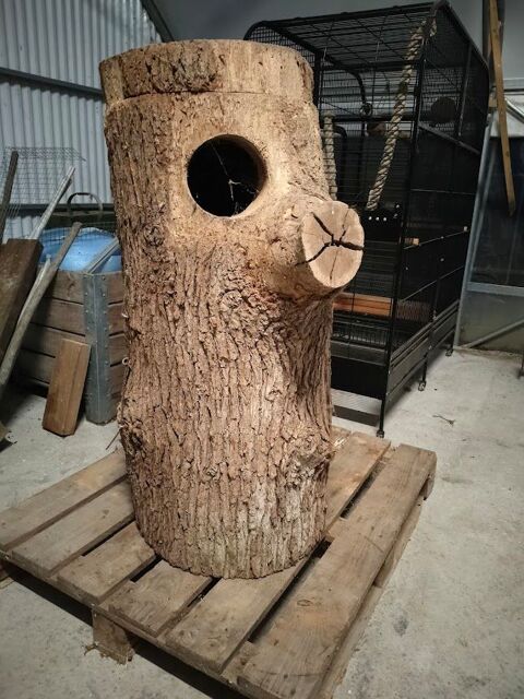 Nid tronc Ara 1 86540 Thur