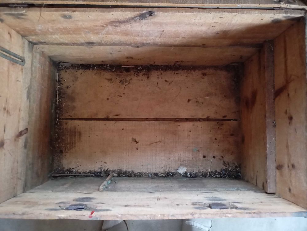 Coffre en bois en BE Décoration