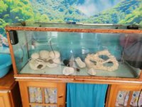   Aquarium 