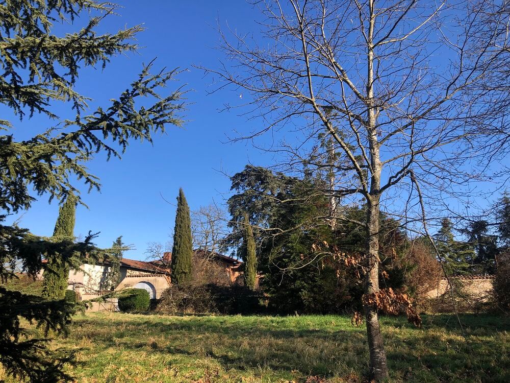 Vente Terrain RARE PRES FEURS GRANDES PARCELLES VIABILISEES et ARBOREES Pouilly-lès-feurs