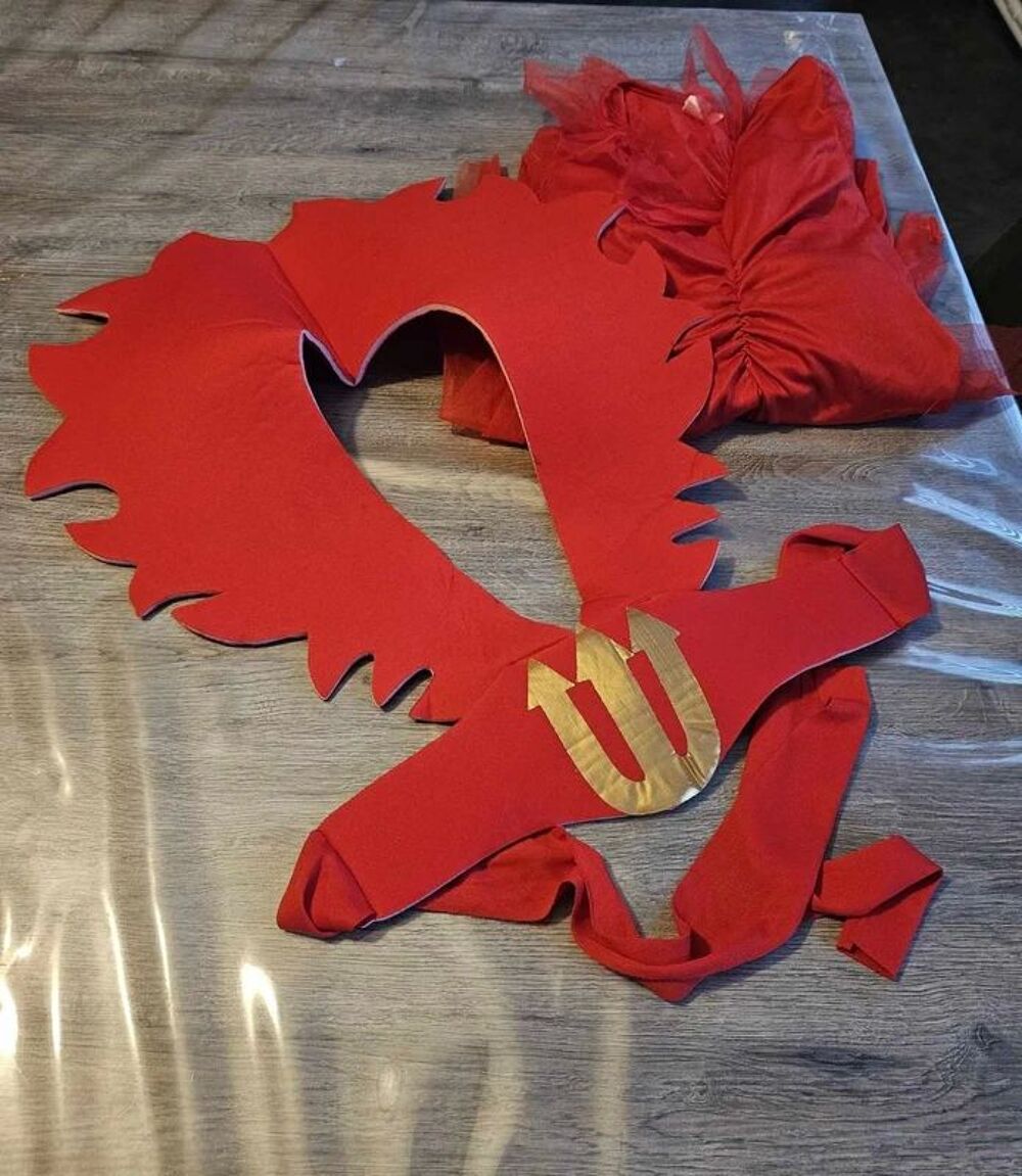 D&eacute;guisement diable Vêtements enfants