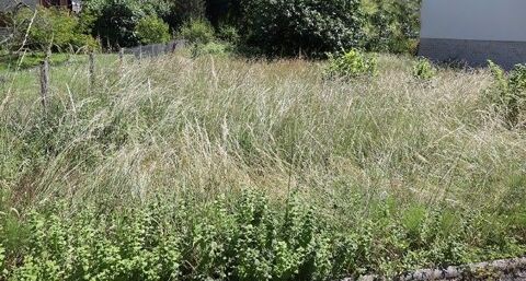 Recherche terrains &agrave; entretenir 0 38760 Saint-paul-de-varces