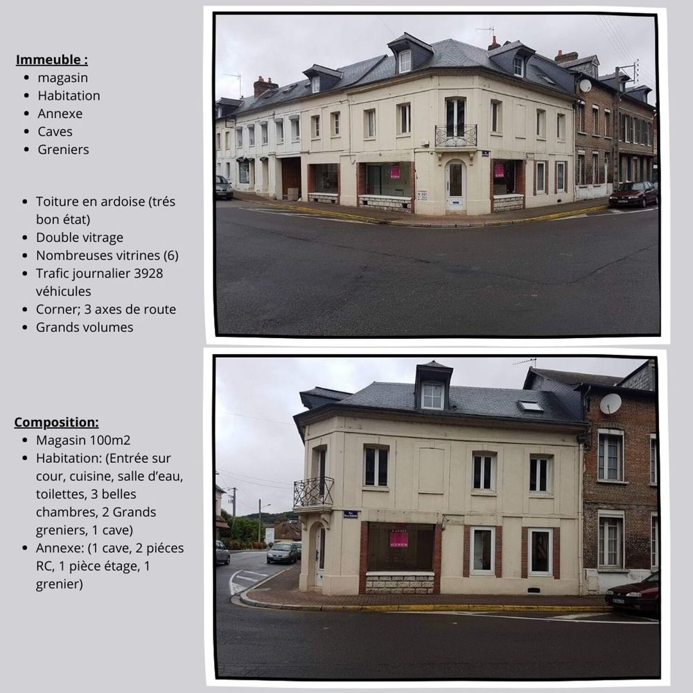 Vente Investisseur BAISSE DE PRIX Immeuble 250 m²  Bureaux rénovés + logement Pont-saint-pierre