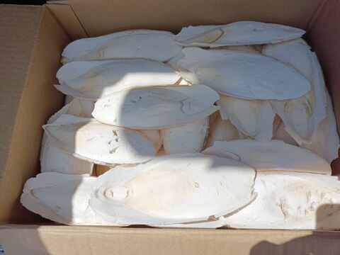 os de seiches 24 60350 Berneuil-sur-aisne