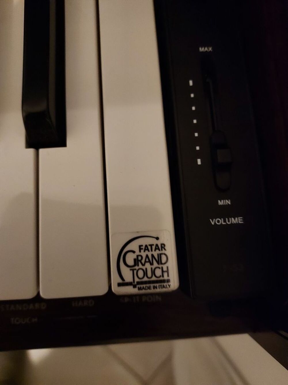 Piano numerique Pearl River F53 Instruments de musique