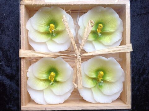4 BOUGIES FLEURS PENSÉES BLANCHE NEUVE Envoi Possible 3 Trégunc (29)