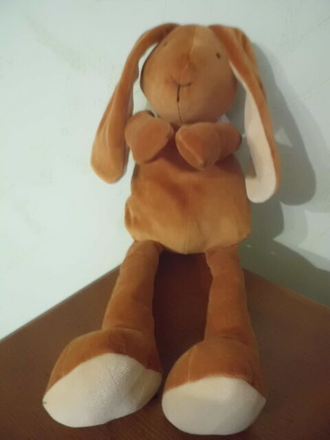 lapin marron ajena 16 Oignies (62)