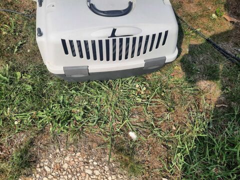 cage de transport pour chats ou chiens 30 Caug (27)
