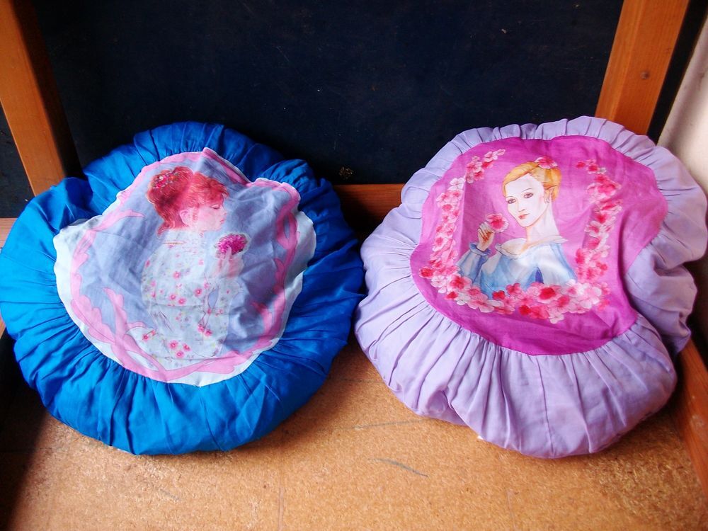 Divers COUSSINS de 0,50 € &agrave; 1,50 € pi&egrave;ce Décoration