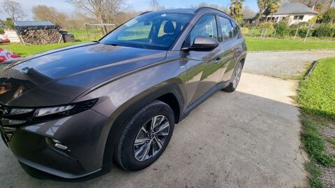 Hyundai Tucson 1.6 T-GDI 150 Hybrid 48V iBVM Intuitive 2022 occasion Morla&agrave;s 64160