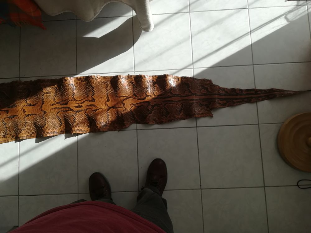 Peau de serpent Maroquinerie