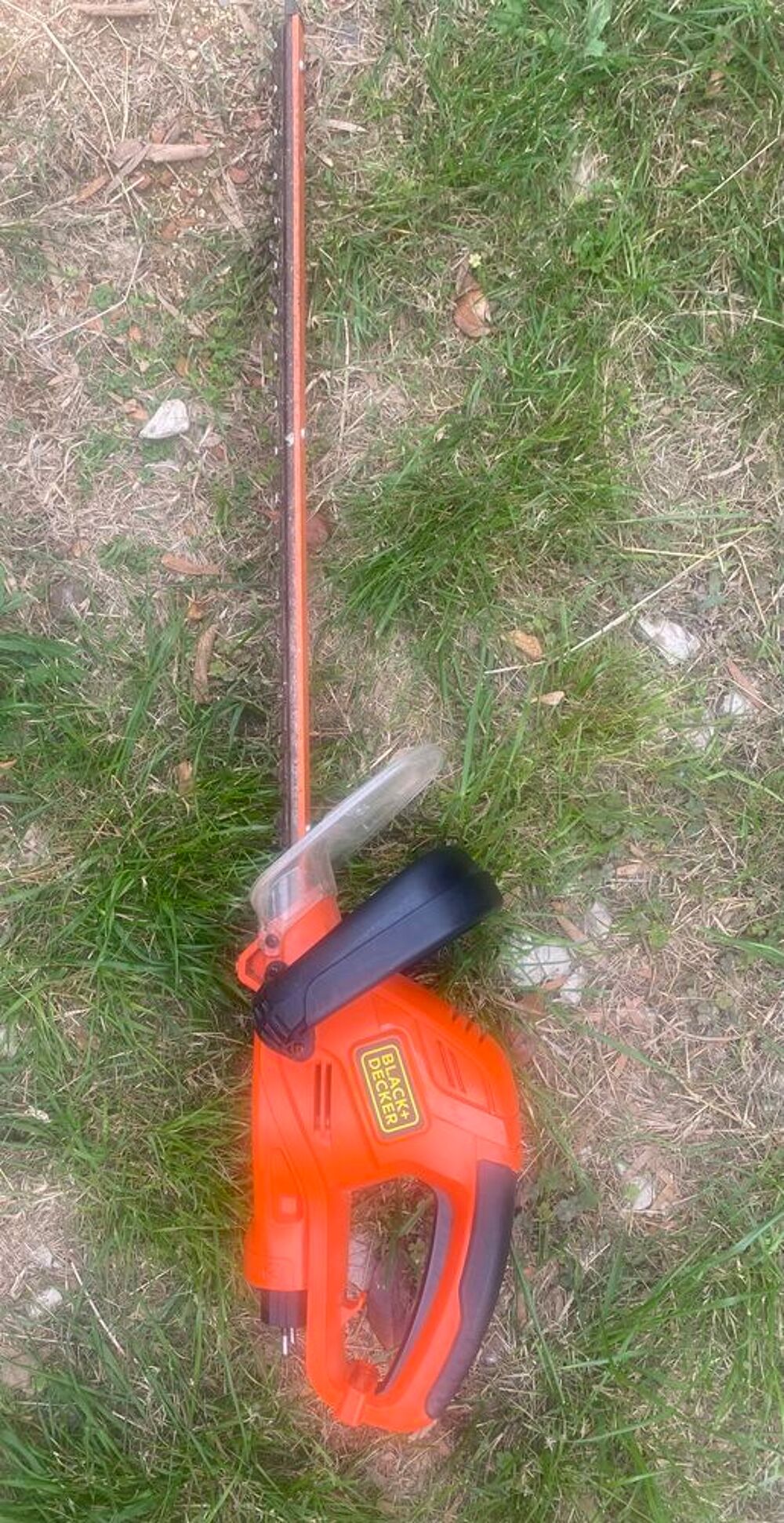 taille haie 
Jardin