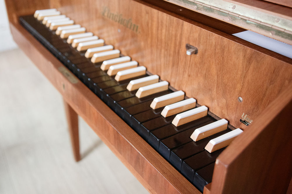 Epinette en mensuelle Instruments de musique