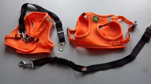 HARNAIS pour chien 16 24320 Verteillac