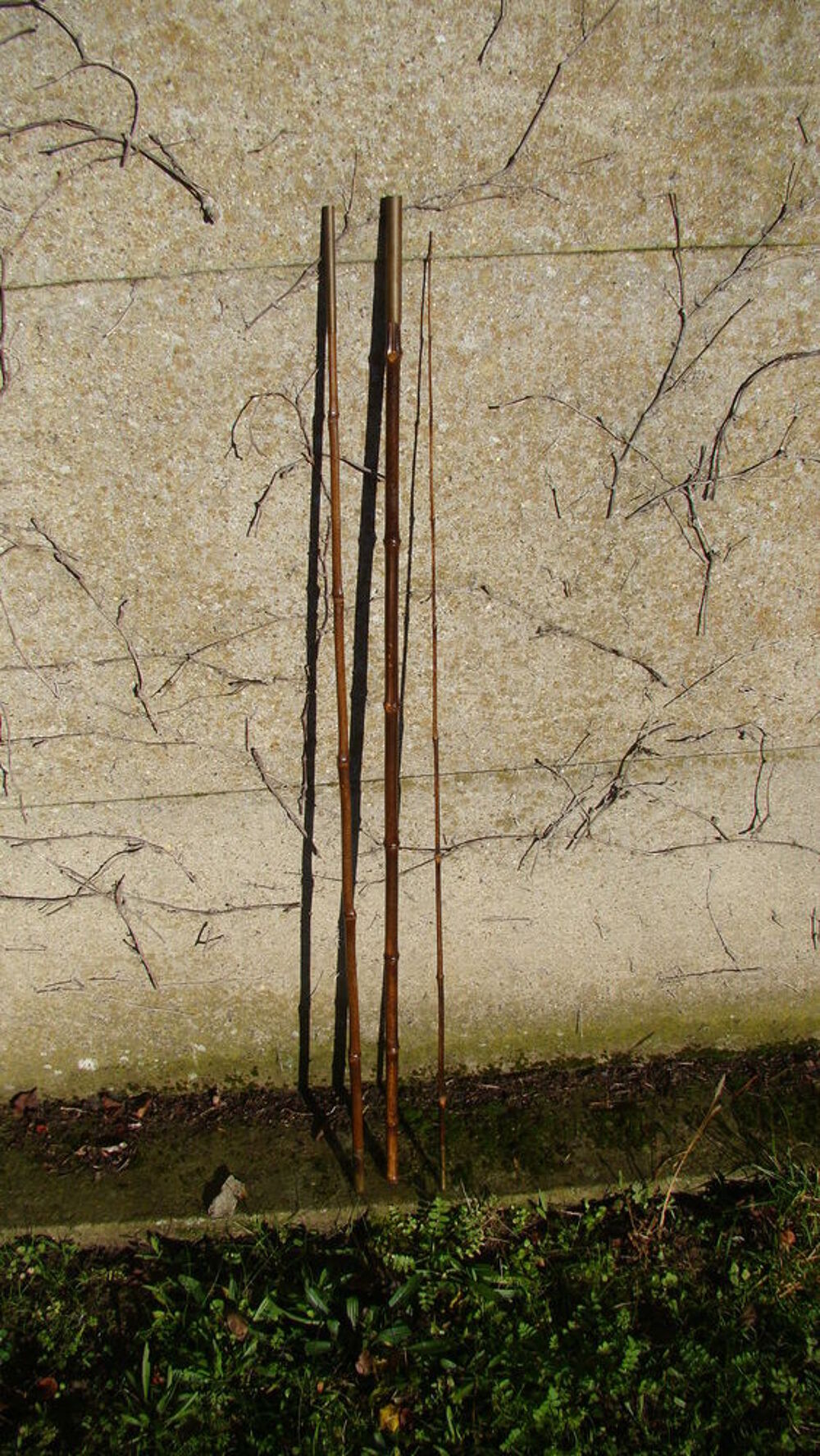 Ancienne canne &agrave; p&ecirc;che en bambou (2,90 m) ann&eacute;es 1950 
Sports