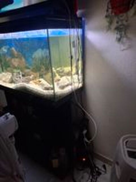   Aquarium avec meuble  