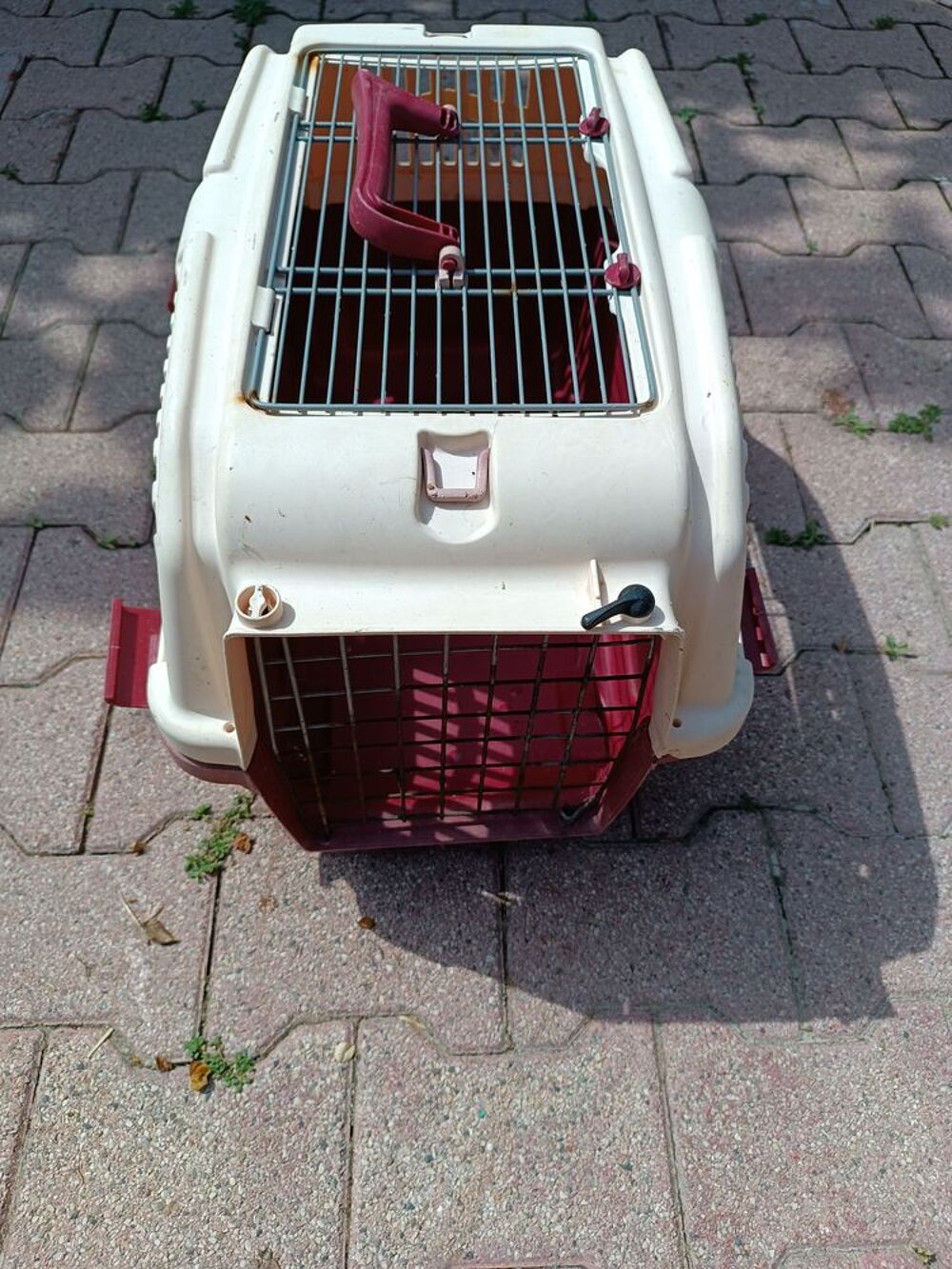 Cage de transport pour chien ou chat Jardin