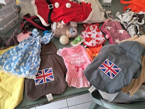Blind Lot accessoires chien chat vetements animaux mode noel 4 Fèves (57)