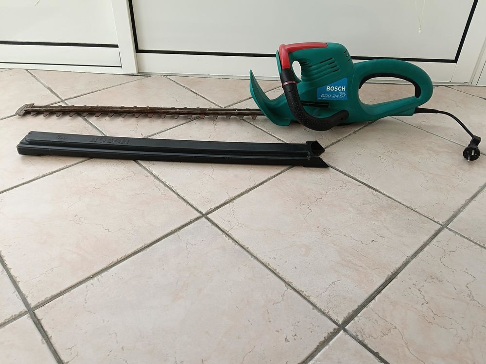 taille haie Jardin