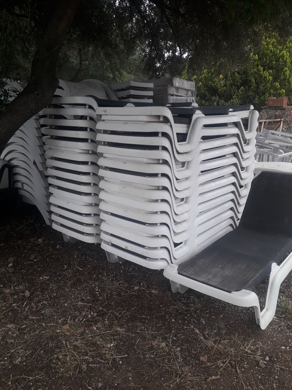 BEAU TRANSAT NOIR ET BLANC Jardin