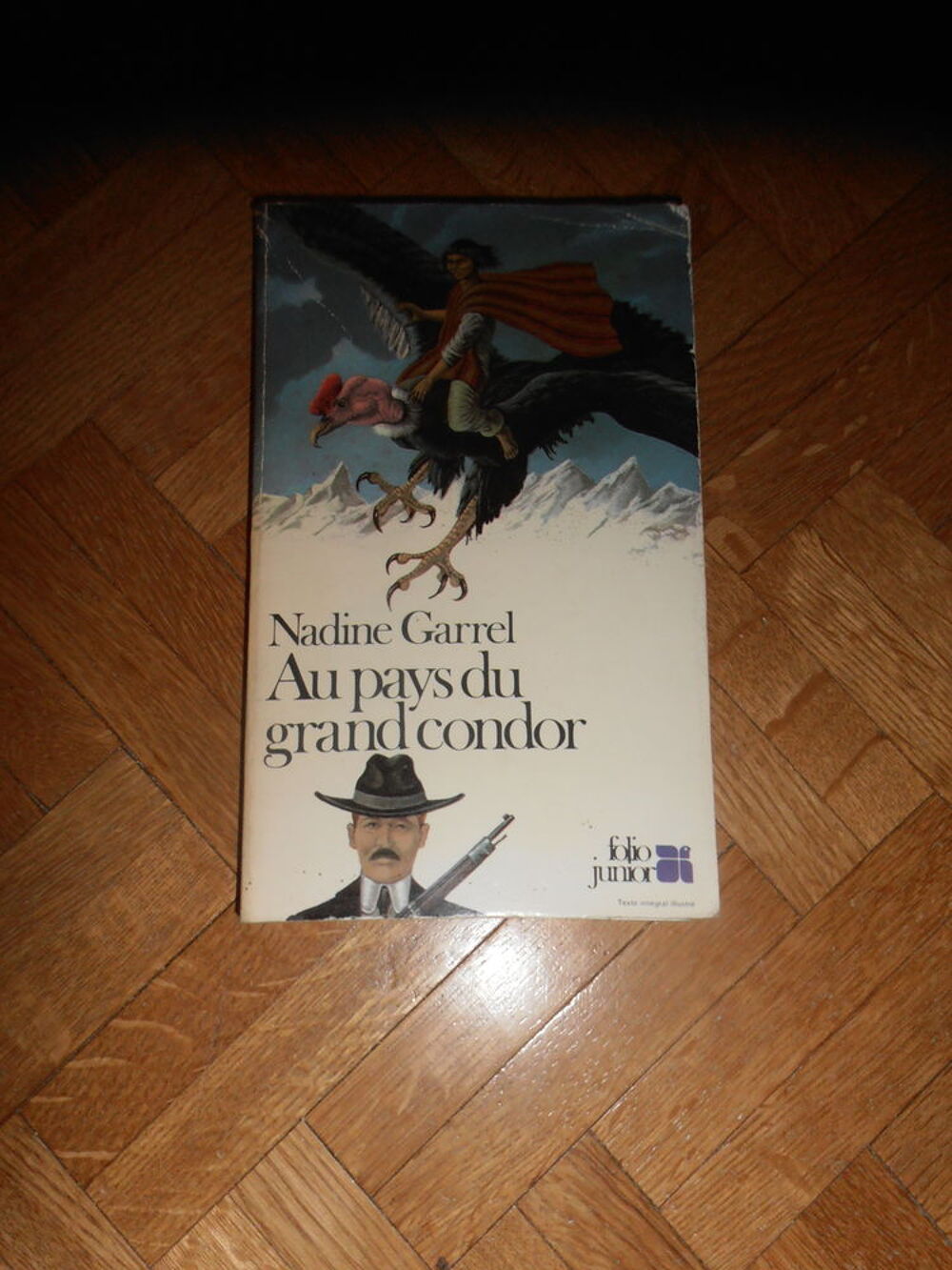 Au pays du grand condor (89) Livres et BD