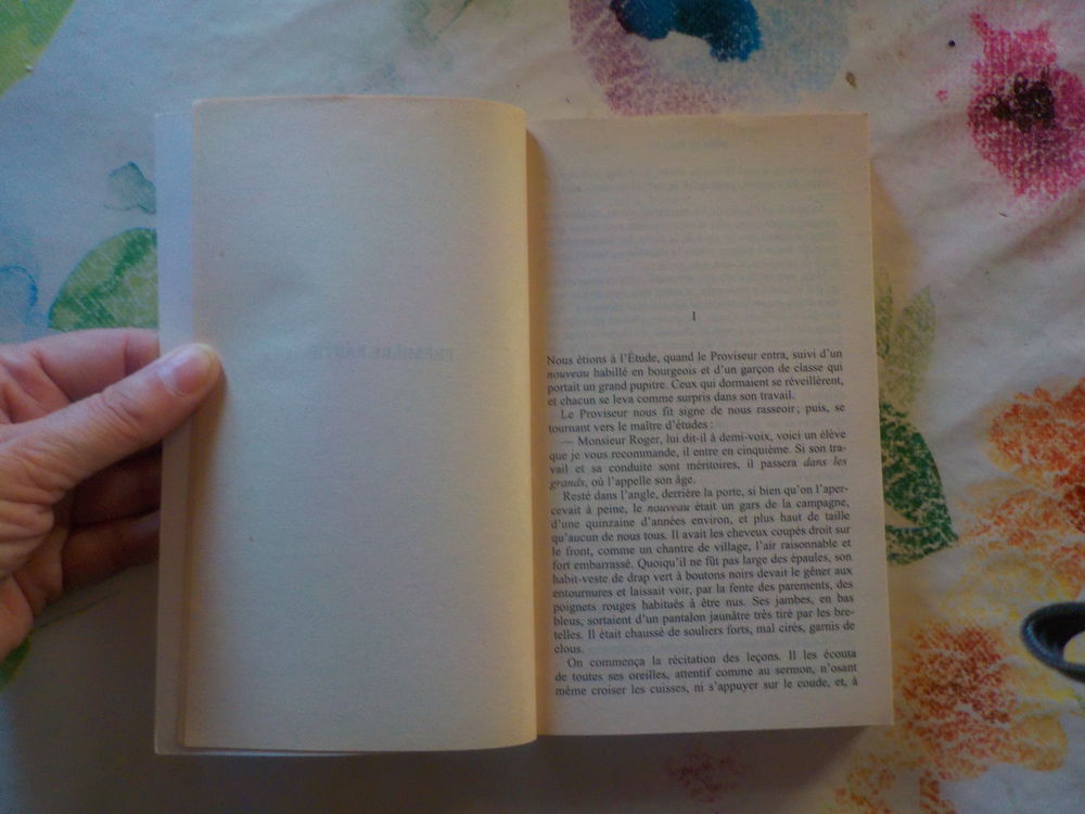 MADAME BOVARY de Gustave FLAUBERT Ed. EDDL Livres et BD