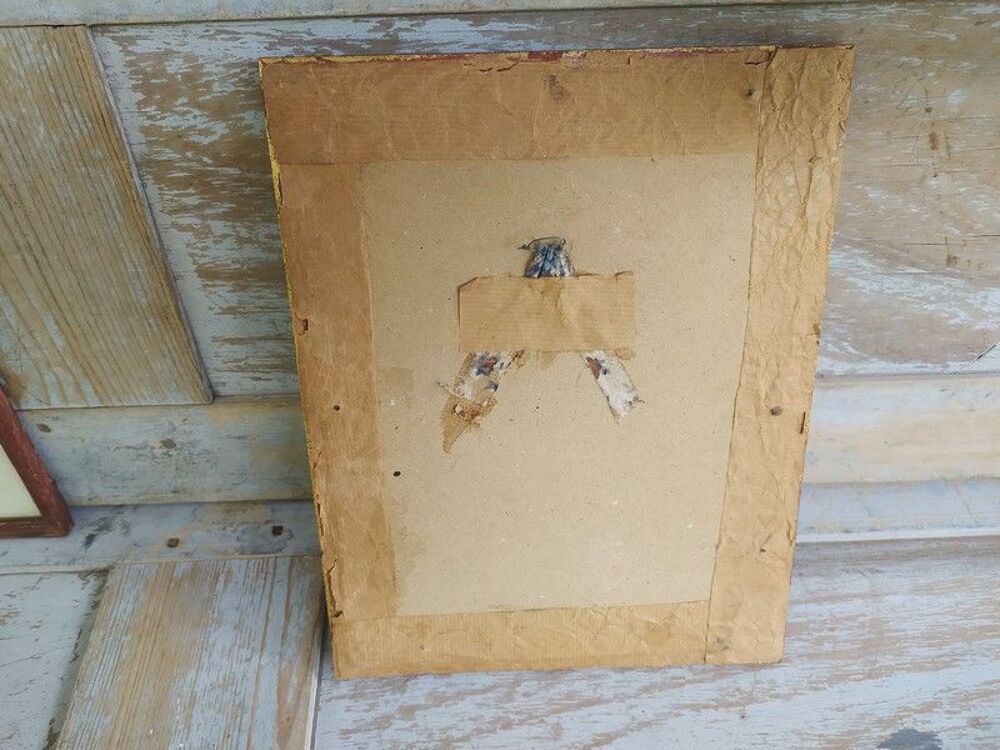 Planches Ornithologiques Colibris Lithographie J. Gould Décoration