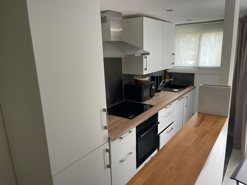 Location Appartement IDALEMENT SITU MAGNIFIQUE DUPLEX DANS PARC ARBOR (UNIQUE) Lyon 3