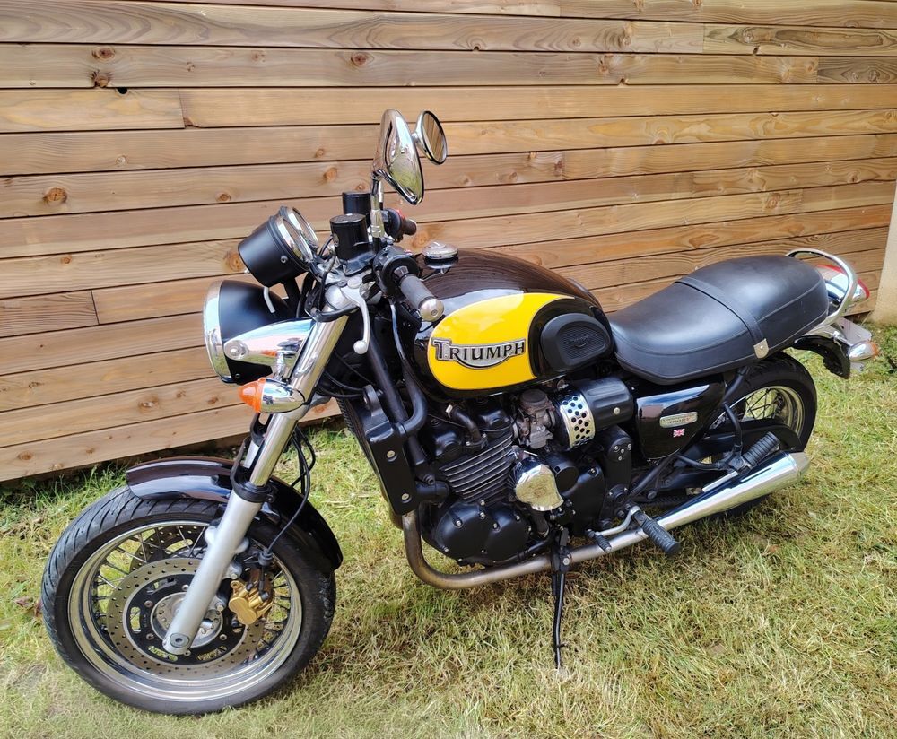 TRIUMPH 2004 occasion 79140 Cerizay