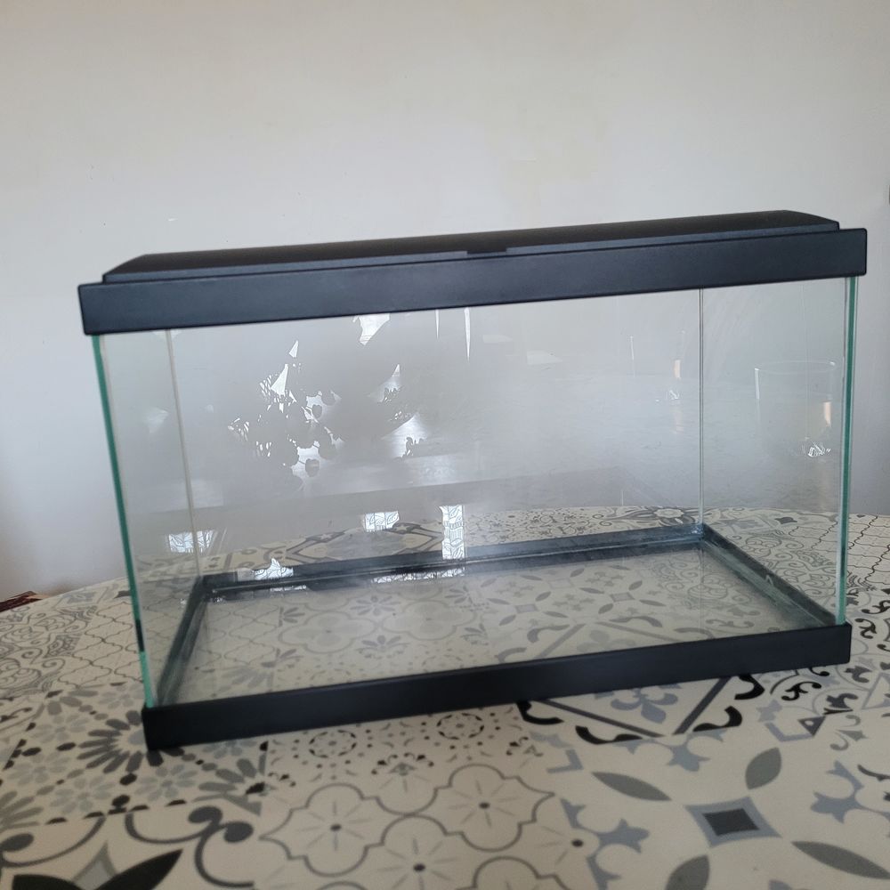   aquarium sans pompes plantes et cailloux  