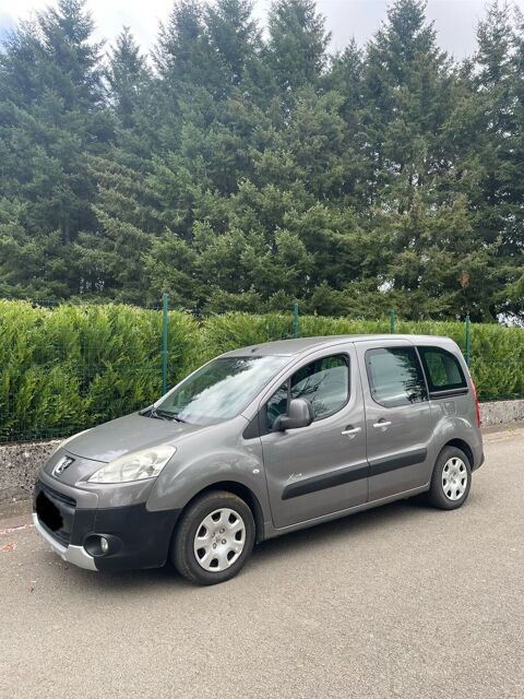 Peugeot Partner Tepee 1.6 HDi 90ch Pack Limited 2010 occasion Longwy 54400