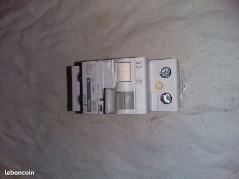 Interrupteur Diffrentiel 2x40A/30mA Type AC - Rf : 03412
28 Serres-Castet (64)
