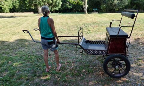 sulky freins a disques en tres bon etat 700 18370 Saint-saturnin