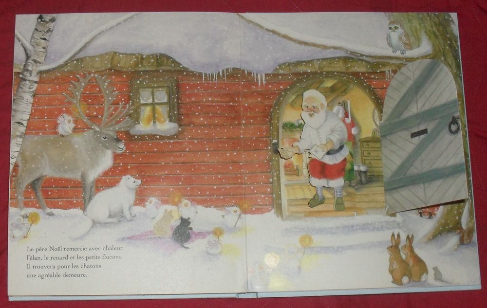 La lettre au P&egrave;re No&euml;l
par ASHE ERICKSSON Livres et BD