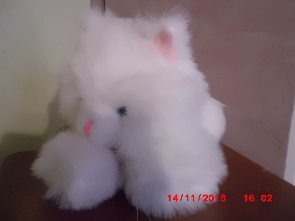 CHAT BLANC CP Jeux / jouets