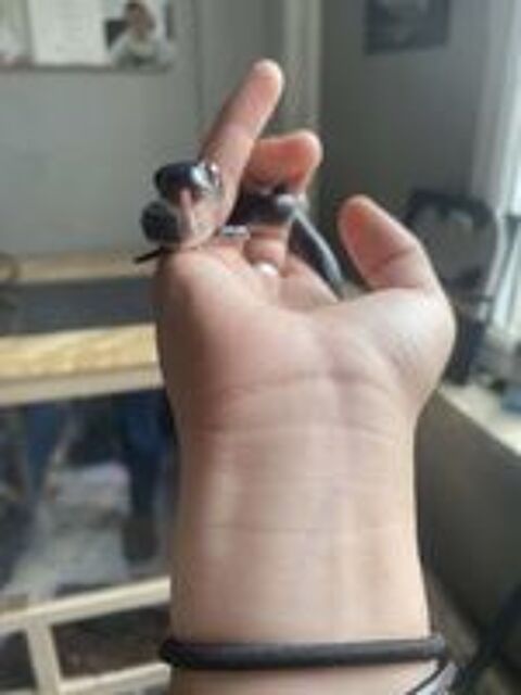   jeune Boaedon fuliginosus Black + Terrarium + Materiel 