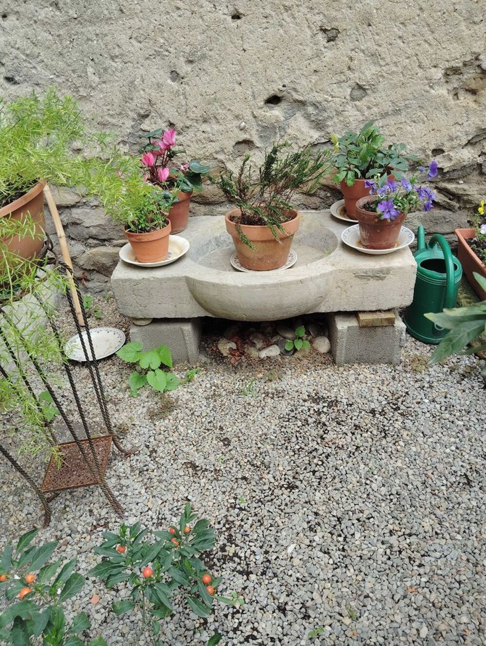 &eacute;vier ancien Jardin