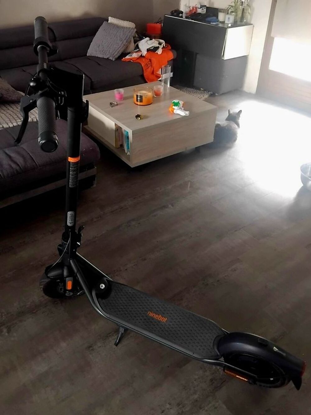 Trottinette Sports